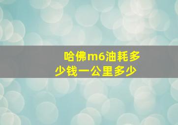 哈佛m6油耗多少钱一公里多少