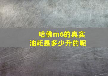 哈佛m6的真实油耗是多少升的呢