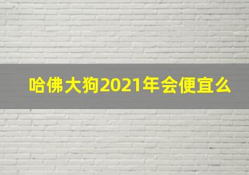 哈佛大狗2021年会便宜么