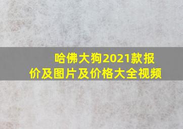 哈佛大狗2021款报价及图片及价格大全视频