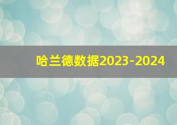 哈兰德数据2023-2024