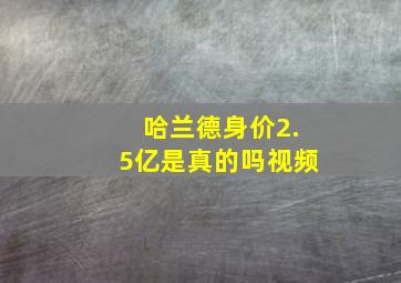 哈兰德身价2.5亿是真的吗视频