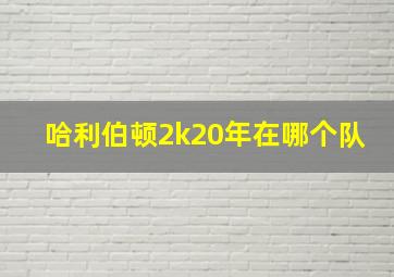 哈利伯顿2k20年在哪个队