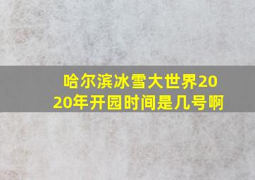 哈尔滨冰雪大世界2020年开园时间是几号啊