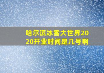 哈尔滨冰雪大世界2020开业时间是几号啊