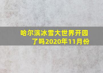 哈尔滨冰雪大世界开园了吗2020年11月份