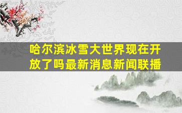 哈尔滨冰雪大世界现在开放了吗最新消息新闻联播