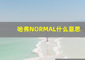 哈弗NORMAL什么意思