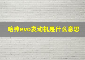 哈弗evo发动机是什么意思