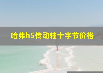 哈弗h5传动轴十字节价格