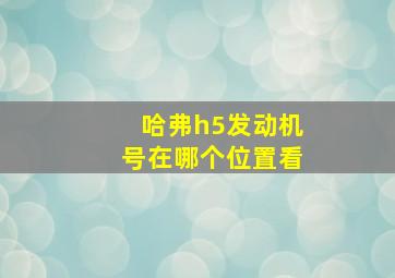 哈弗h5发动机号在哪个位置看