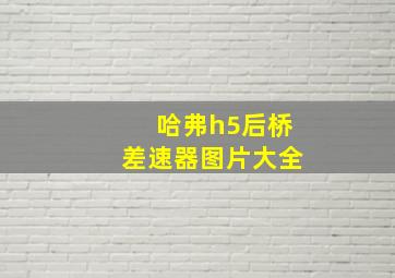 哈弗h5后桥差速器图片大全