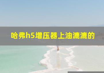 哈弗h5增压器上油漉漉的