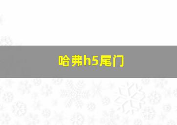 哈弗h5尾门