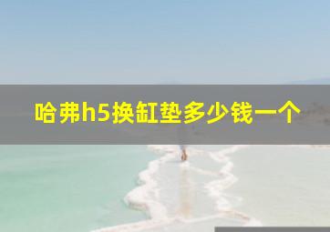 哈弗h5换缸垫多少钱一个