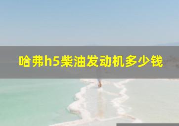 哈弗h5柴油发动机多少钱