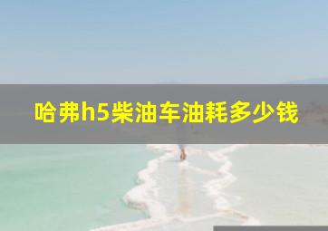 哈弗h5柴油车油耗多少钱