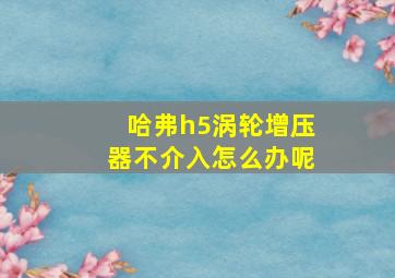 哈弗h5涡轮增压器不介入怎么办呢