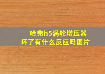 哈弗h5涡轮增压器坏了有什么反应吗图片