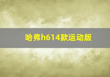 哈弗h614款运动版