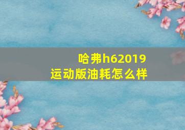 哈弗h62019运动版油耗怎么样