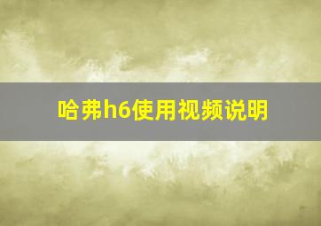 哈弗h6使用视频说明