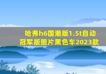 哈弗h6国潮版1.5t自动冠军版图片黑色车2023款