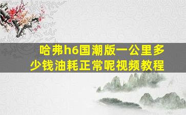 哈弗h6国潮版一公里多少钱油耗正常呢视频教程