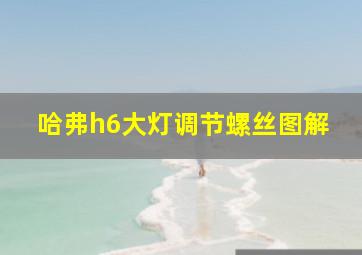 哈弗h6大灯调节螺丝图解