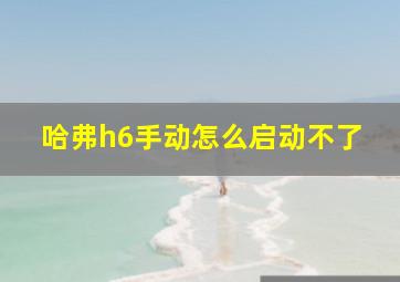 哈弗h6手动怎么启动不了