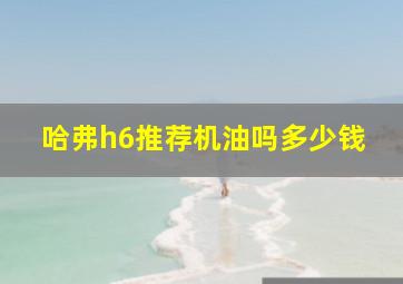 哈弗h6推荐机油吗多少钱