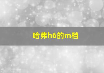 哈弗h6的m档