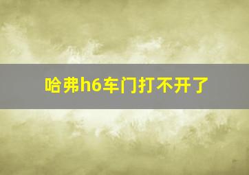 哈弗h6车门打不开了