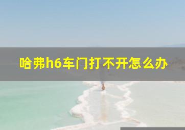 哈弗h6车门打不开怎么办