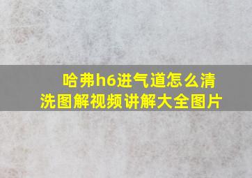 哈弗h6进气道怎么清洗图解视频讲解大全图片