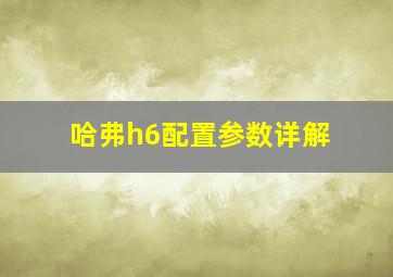 哈弗h6配置参数详解