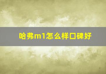 哈弗m1怎么样口碑好