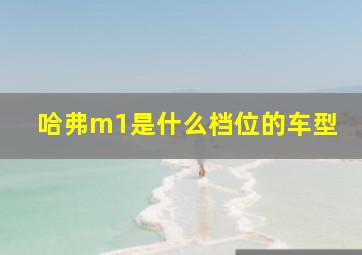 哈弗m1是什么档位的车型