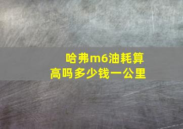 哈弗m6油耗算高吗多少钱一公里