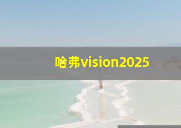 哈弗vision2025