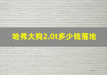 哈弗大狗2.0t多少钱落地