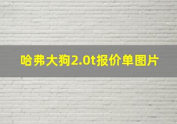 哈弗大狗2.0t报价单图片