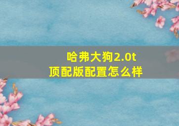 哈弗大狗2.0t顶配版配置怎么样