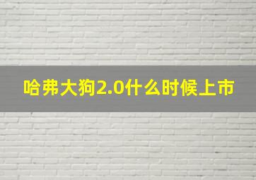 哈弗大狗2.0什么时候上市