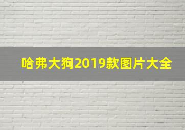 哈弗大狗2019款图片大全