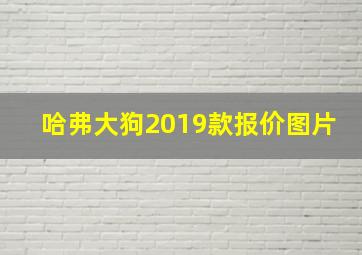 哈弗大狗2019款报价图片