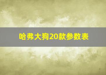 哈弗大狗20款参数表