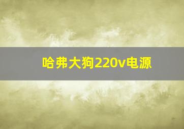 哈弗大狗220v电源