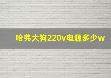 哈弗大狗220v电源多少w