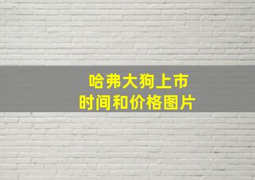 哈弗大狗上市时间和价格图片